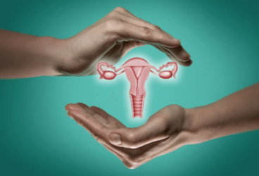 L'appareil reproducteur féminin : son fonctionnement
