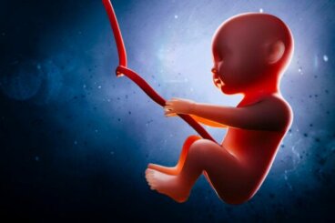 Semaine 16 de grossesse: symptômes et développement du bébé
