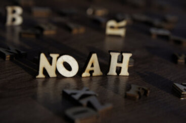 Origine et signification du prénom Noa